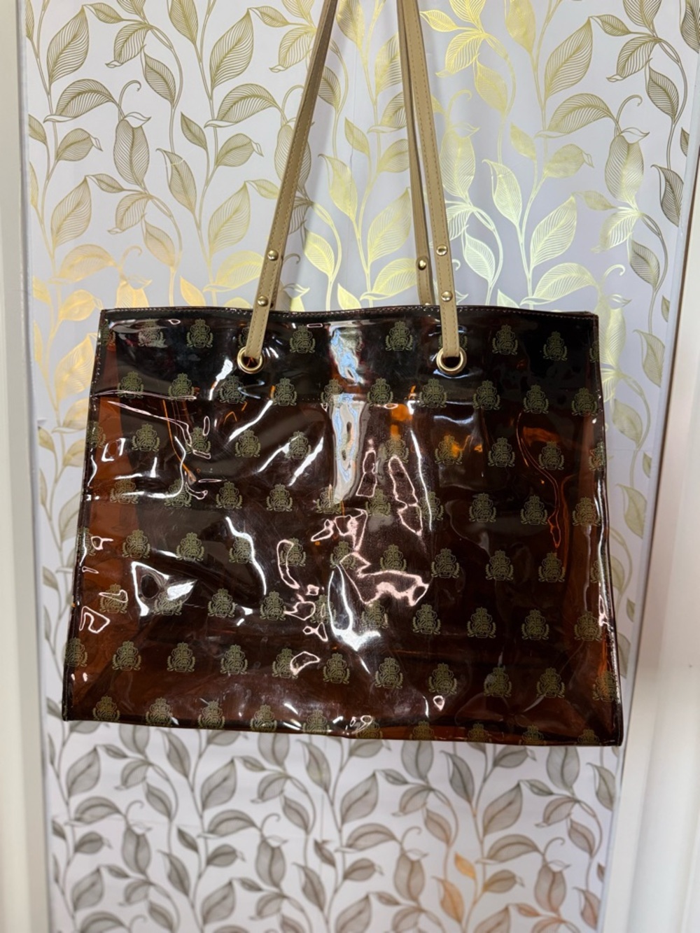 Borghese Transparent Monogram bag